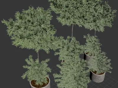 Outdoor Plant stree 01 3D model