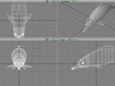 Dolphin - River 3D model