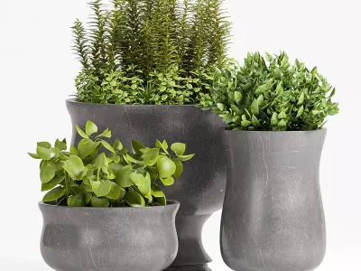 Decorative plant set-39 3D model