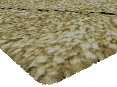 Rug Set 1910 3D model