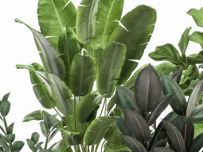 Plants in a rusty flowerpot for the interior 1042 3D model