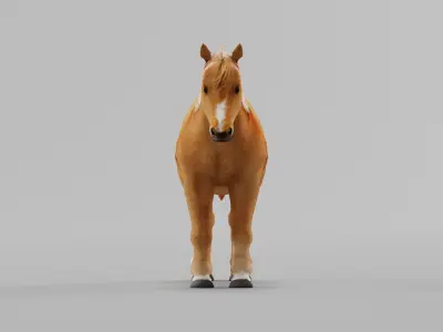 Pony Small Horse Animal Low-poly 3D model