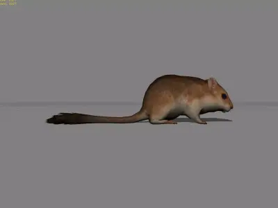 Sand Mouse Animal Low-poly 3D model