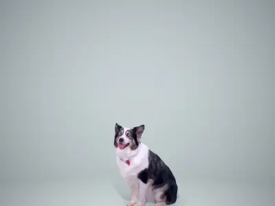 Sitting Dog Dog0003-HD2-P01-S 3D model