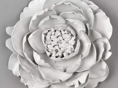 Plaster peony 3D model