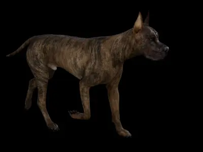 5 stand alone obj-11 3D model