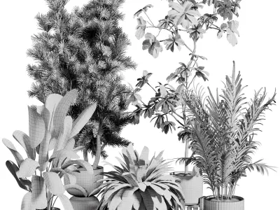 indoor plant 514 3D model