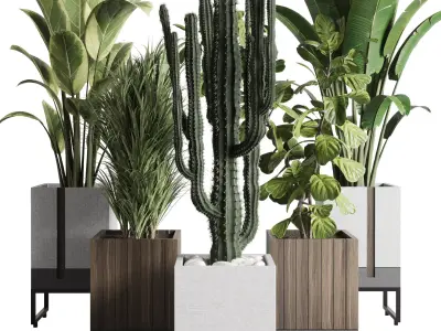 Indoor plant wooden and concrete dirt vase bax pot palm cactus 3D model