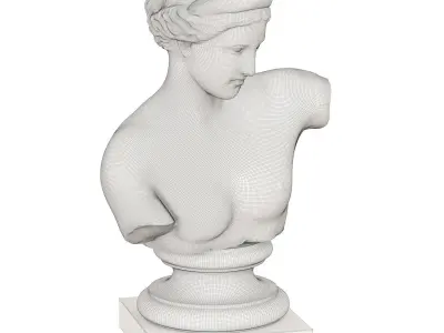 Bust of Venus of Capoa 3D model