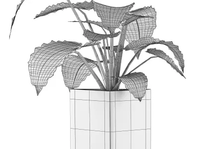 Plants Collection 55 3D model
