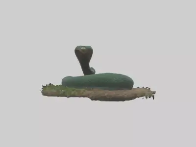 Forest Cobra hiding model 3D model