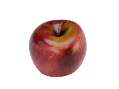 Apple Fruit 3D model