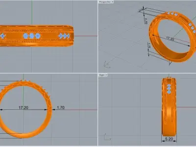ring code 171 3D print model
