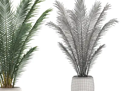 Decorative palm in a white flowerpot for interior design 531 3D model