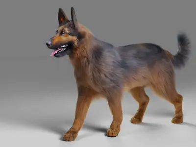 Fur German Shepherd No Rigged Low-poly 3D model