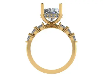 Radiant solitaire with pear shape diamond on shank  3D print model
