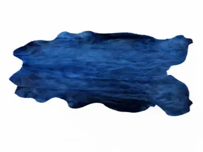 Blue Cowhide Rug 3D model