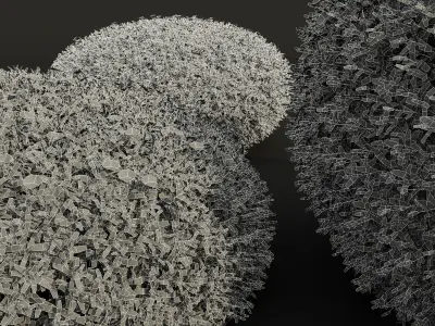 New Plant Cuphea Hookeriana Carthagegenensis Decorative001 Free 3D model