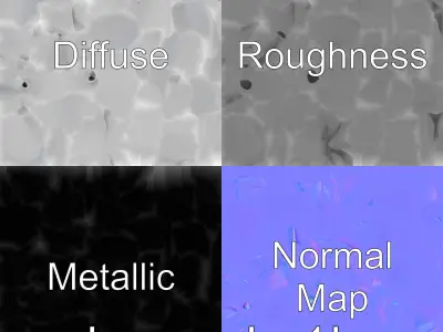 Beluga Whale 3D Model with White Skin and Flexible Neck Low-poly 3D model