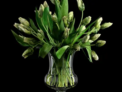 Green Parrot Tulips 3D model