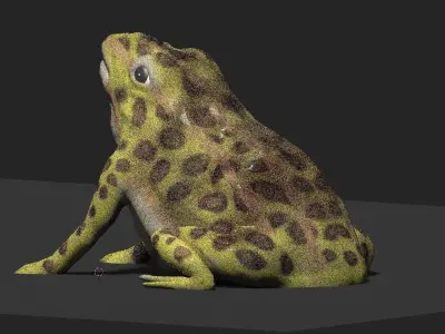 frog 3d model 3D model