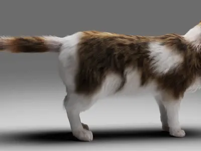 Fur Calico Cat V03 No Rigged Low-poly 3D model
