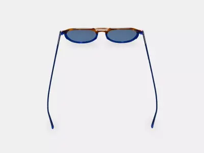 ETNIA BARCELONA TULSA BLUE TORTOISE 3D model