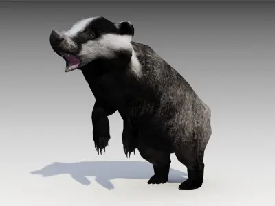 Badger Low-poly 3D model