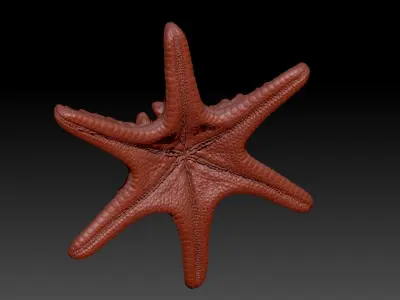 3d Italian Starfish Pendant Necklace charm  3D print model
