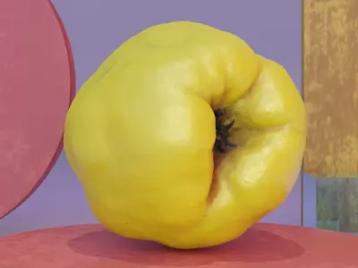 Quince fruit 04 high-poly 3D model