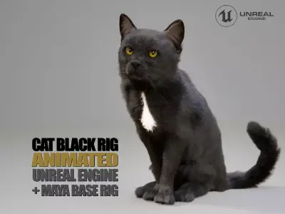 Cat Black Animated UNREAL project  Maya base rig 3D model