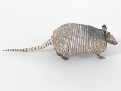 Armadillo Low-poly 3D model