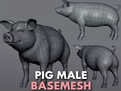 Pig BaseMesh Low-poly 3D model