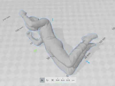 Car Driver Victory 3D print model