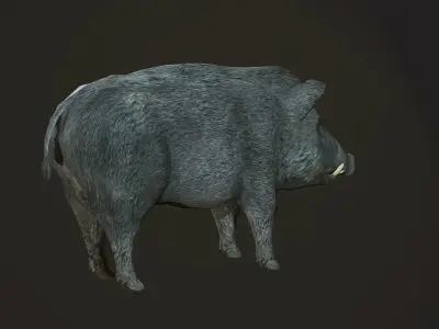 Wild Boar Low-poly 3D model purchase