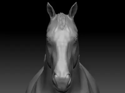 Horse detailed zbrush sculpture 3D model