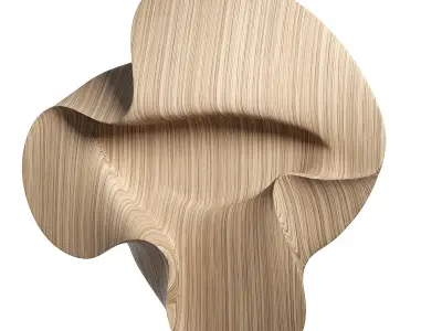 Daniel Mirchev Cashmere B 3D model