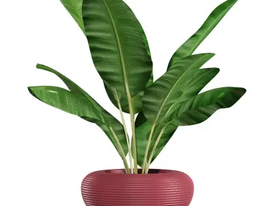 qeeboo nami planter 3D model