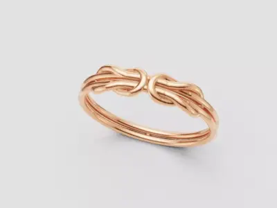 Beautiful knot Free 3D print model