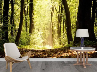 Photo Wallpaper No 2 Low-poly 3D model