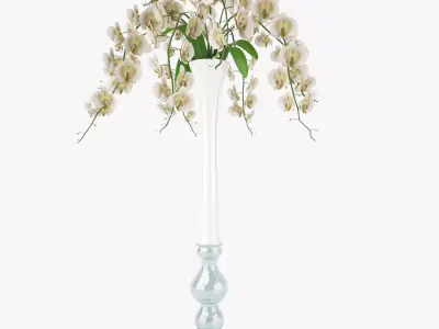 Orchid Flowers in Vase 3D Model 3D model