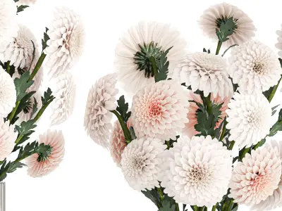 Set of white bouquets of flowers Chrysanthemum Dahlias 375 3D model