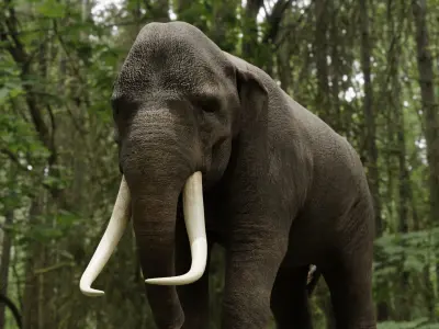 Asian elephant Low-poly 3D model