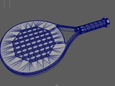 Paddle Racket for 3d print 3D print model