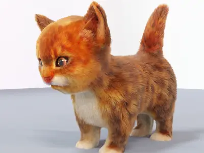Fur Cute Cat kitten Red No Rig Low-poly 3D model