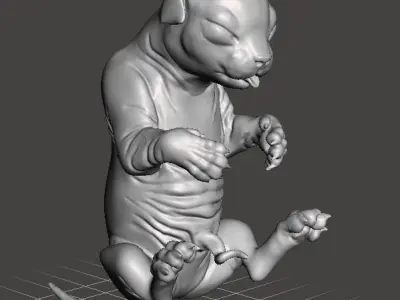 Fetal Kitten Cat Fetus 3D model