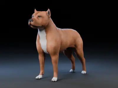 Dog Staffordshire Bull Terrier Low-poly 3D model