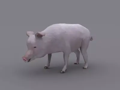 PIG GAME READY ANIMATED MODEL Low-poly 3D model