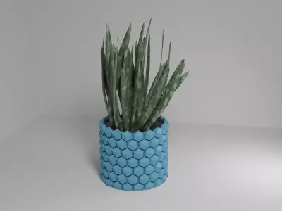 Hexagon flower pot 3D print model