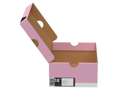 Nike Shoe Box PBR 16 Low-poly 3D model